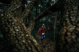 BIB: 
                            <button type="button" onclick="openModal(25679553)" class="btn btn-primary btn-sm float-right btn-popup" data-toggle="modal" data-target=".modal-high-quality">
                        <i class="fas fa-shopping-cart"></i> Add to Cart
                    </button>
                                            <button type="button" onclick="isThisMe(25679553, true)" class="btn btn-success btn-sm float-right btn-popup btn-isme hidden" data-toggle="tooltip" data-placement="bottom" title="นี่คือรูปของคุณใช่ไหม คลิกที่นี่เพื่อเอาเข้าอัลบั้ม">
                        <i class="fas fa-plus"></i> Add to album
                    </button>
                    <button type="button" onclick="isThisMe(25679553, false)" class="btn btn-warning btn-sm float-right btn-popup btn-isnotme hidden">
                        <i class="fas fa-ban"></i> Remove from album
                    </button>